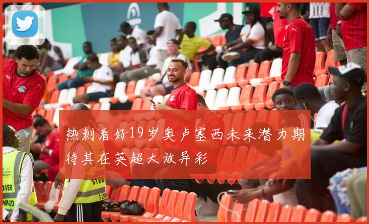热刺看好19岁奥卢塞西未来潜力期待其在英超大放异彩